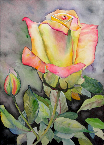 Maine Boats - Watercolor Paintings Of Yellow Roses (600x500), Png Download