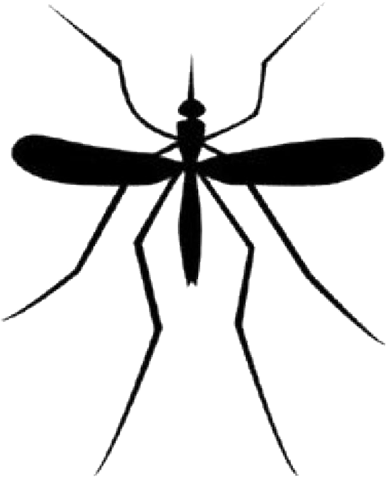 Mosquito Download Png - Mosquitos Logo (698x777), Png Download