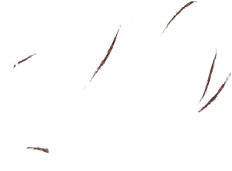 Line Art (640x500), Png Download