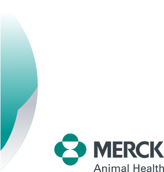 Privacy - Disclaimer - Msd Animal Health Logo (422x366), Png Download