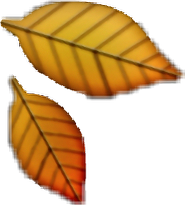 Autumn Leaves Clipart Emoji - Emoji Feuille (364x404), Png Download
