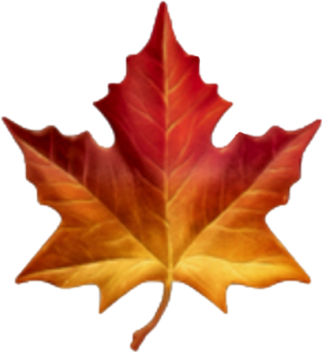 Feuille Sticker - Maple Leaf Emoji (1024x1120), Png Download