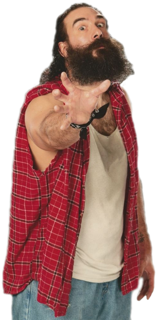 Luke Harper Wearing Red Shirt 14-awl1073 - Print: World Wrestling Entertainment - Luke Harper (504x1024), Png Download