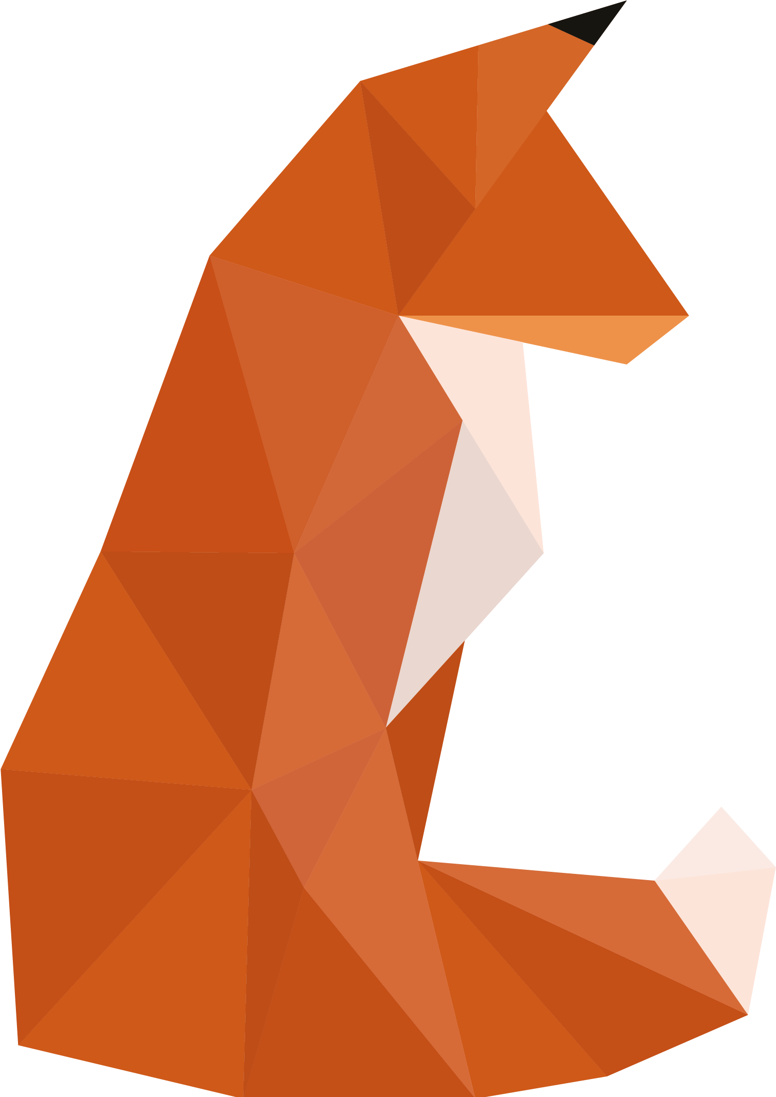 Proud Fox Creative - Proud Fox (2133x2133), Png Download