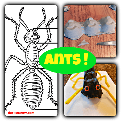 Ants - Ant Body Parts (400x400), Png Download