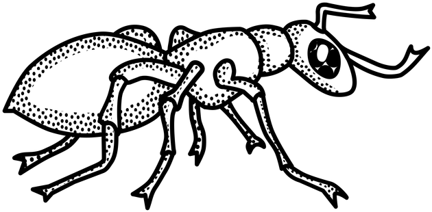 Ants Clipart Png - Clip Art Black And White Ant (665x345), Png Download