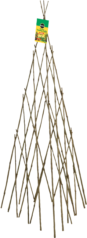 Miracle-gro® Bamboo Teepee Trellis - Bamboo (336x800), Png Download