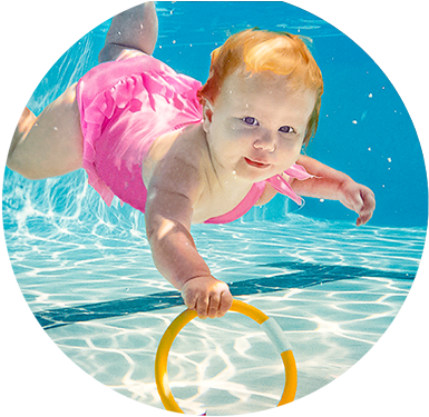 Sealswim Billboard - Seal Swim School (400x382), Png Download