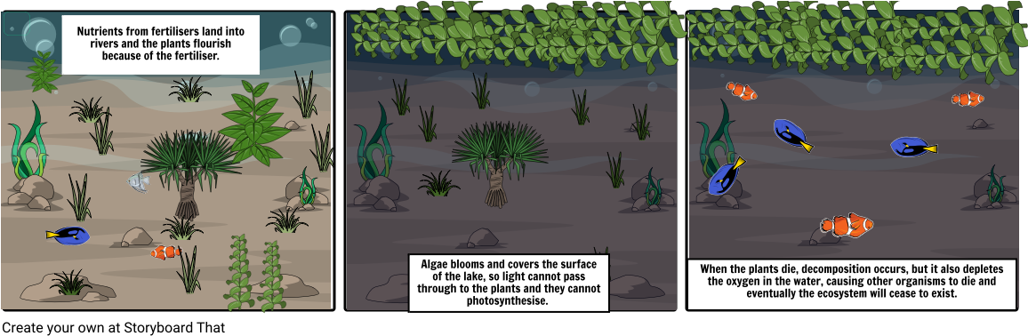 Andre Anusha Jamie Xiumin Story Board - Attalea Speciosa (1164x385), Png Download