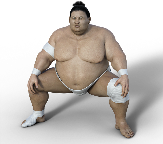 Sumoringer, Athlete, Wrestler, Sport, Overweight, Sumo - Zawodnicy Sumo (640x591), Png Download