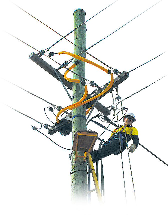 Power Line Jumper (720x859), Png Download
