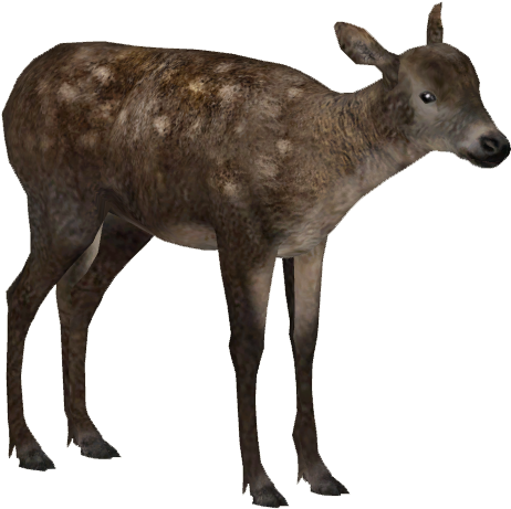 Irish Elk Young - Wiki (635x635), Png Download