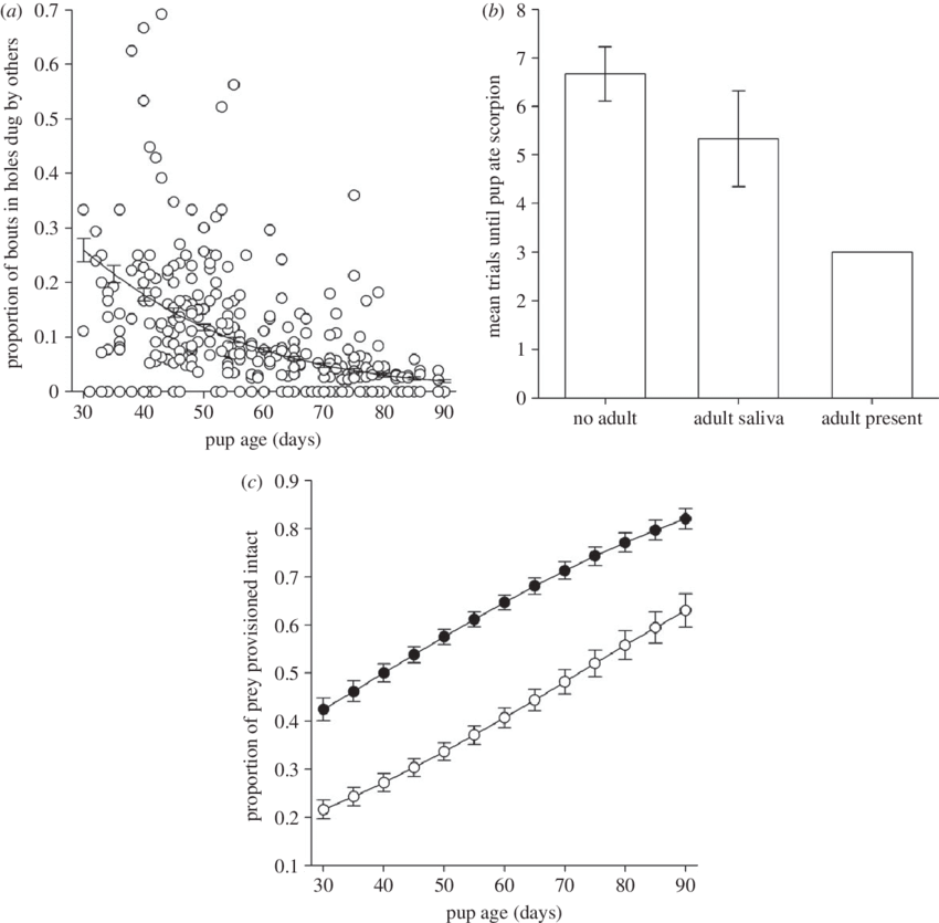 A) Young Pups Often Dig In Holes Dug By Adults. (reproduced - Prostate-specific Antigen (850x835), Png Download