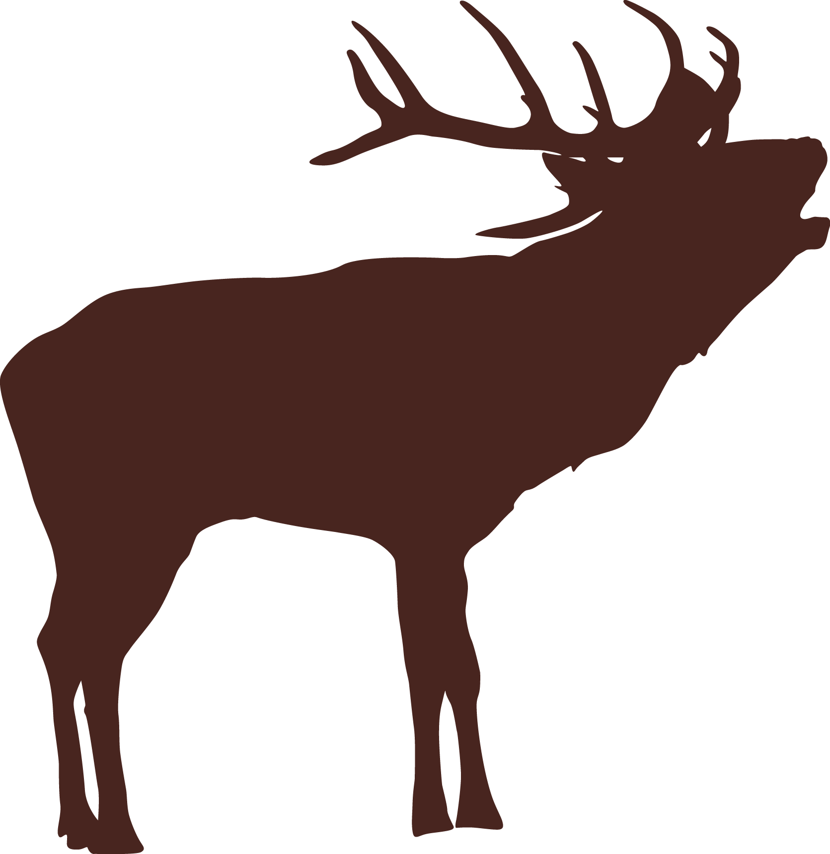 Elk (1671x1721), Png Download