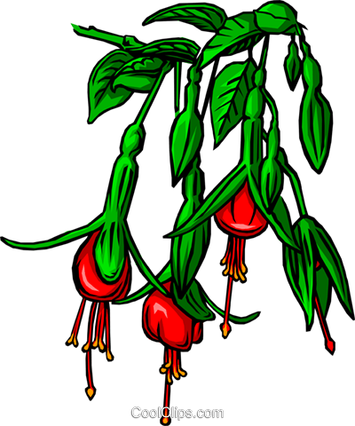 Bleeding-heart Flower Royalty Free Vector Clip Art - Clip Art (400x480), Png Download