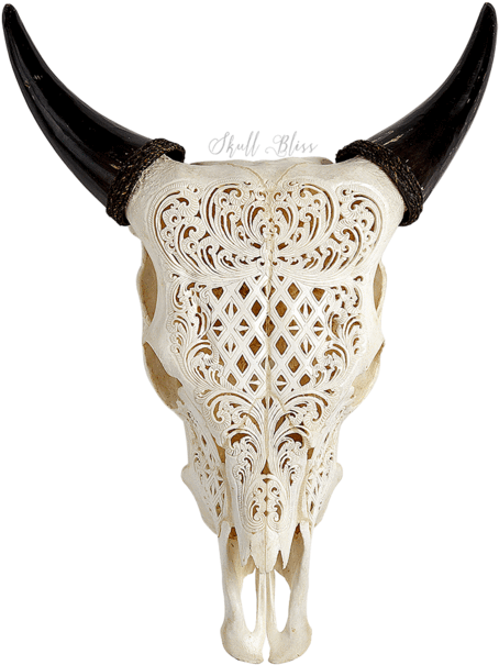 Download Affordable Carved Cow Skull Celtic Flower With Cow - Longhorn