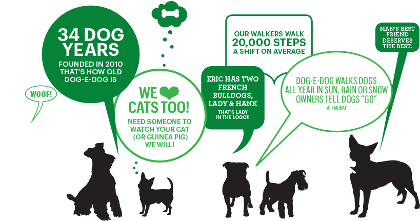 Dogedog Facts - Portable Network Graphics (864x432), Png Download