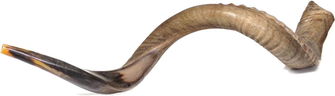 De Antilope - Produtos Israel (1170x366), Png Download
