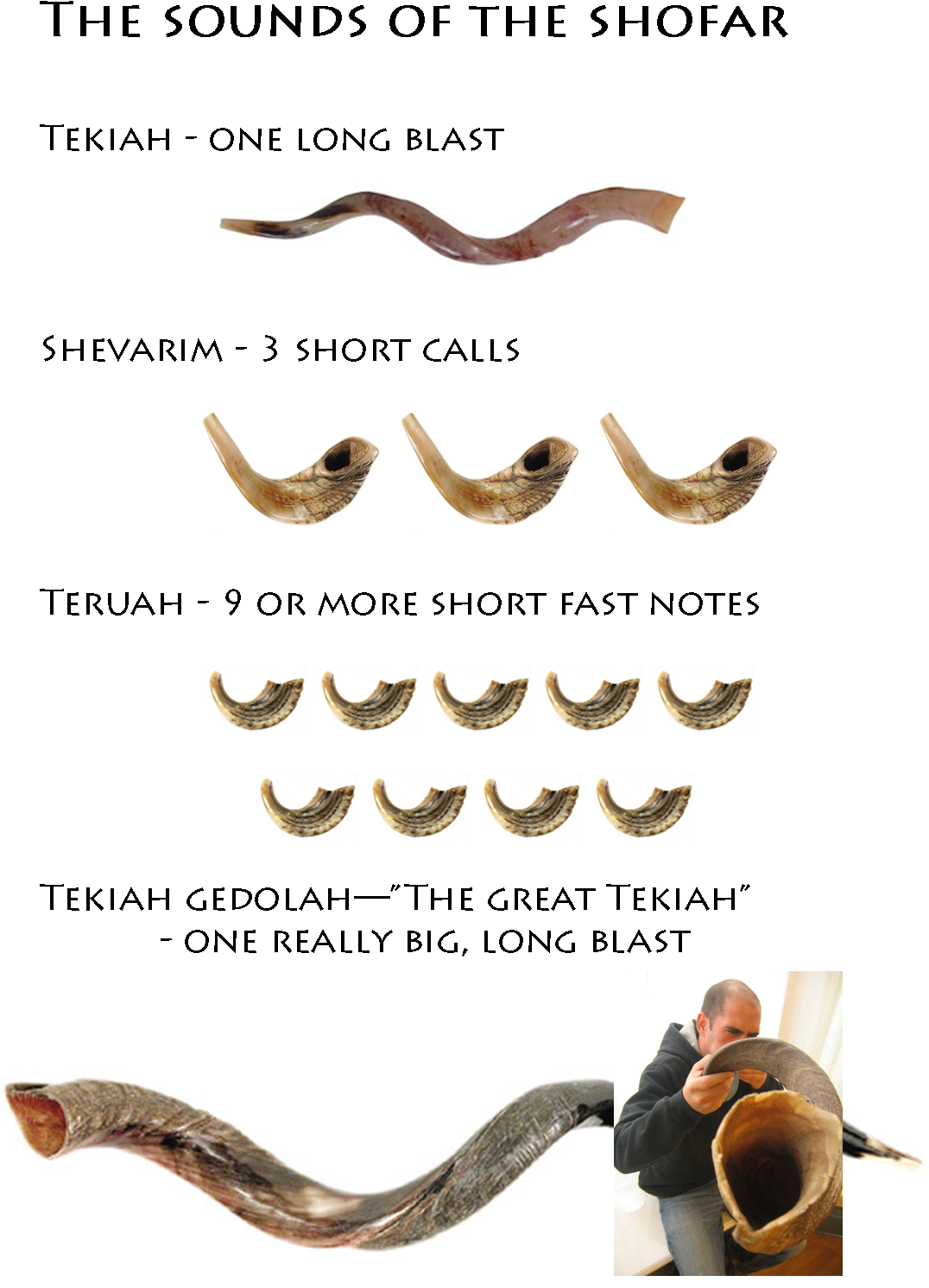 The Sounds Of The Shofar [joyfulljewish - Shofar - Yemenite - Small 26 - 31 (510x715), Png Download