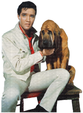 Kaz Creations Elvis Presley King Of Rock N Roll Music - Elvis Presley Dog Kissin Cousins Birthday Card (400x400), Png Download