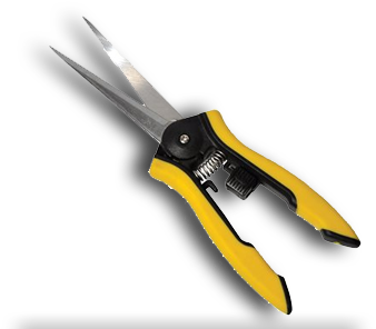 Favorites Dram Clippers - Los Angeles Clippers (500x300), Png Download