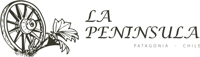 Estancias Patagonia Estancias - Riverbank Elementary School Logo (692x225), Png Download
