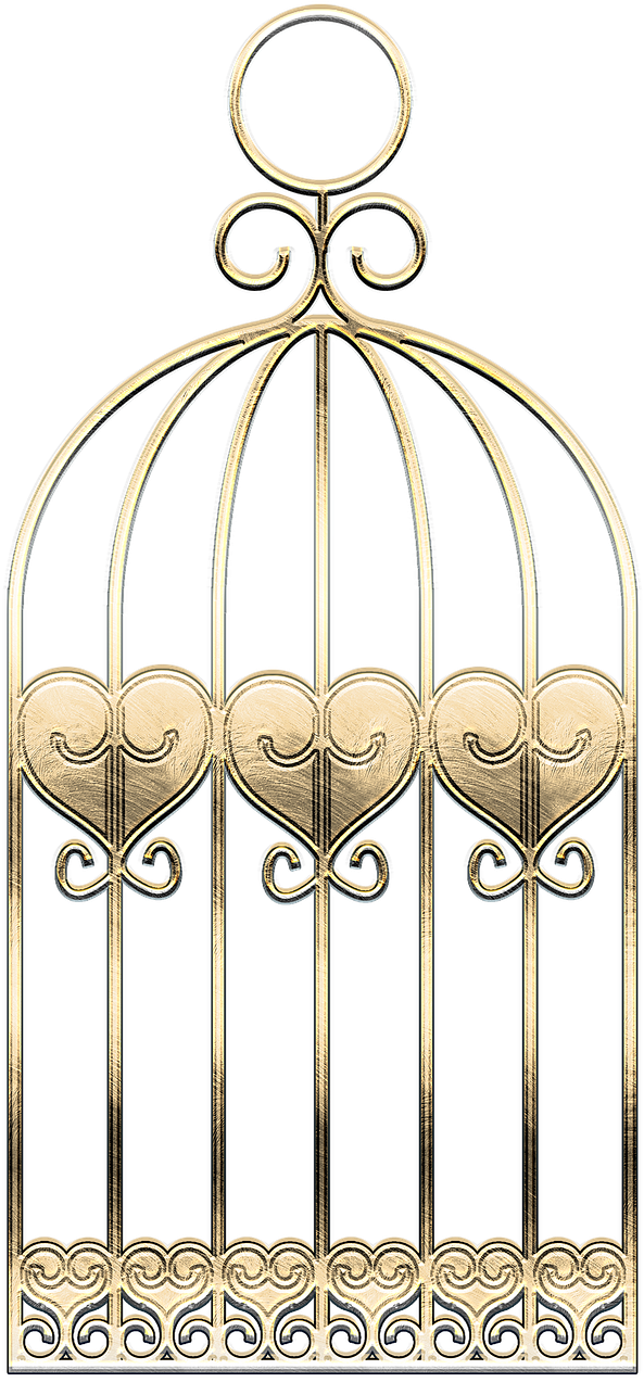 Cage (985x1280), Png Download