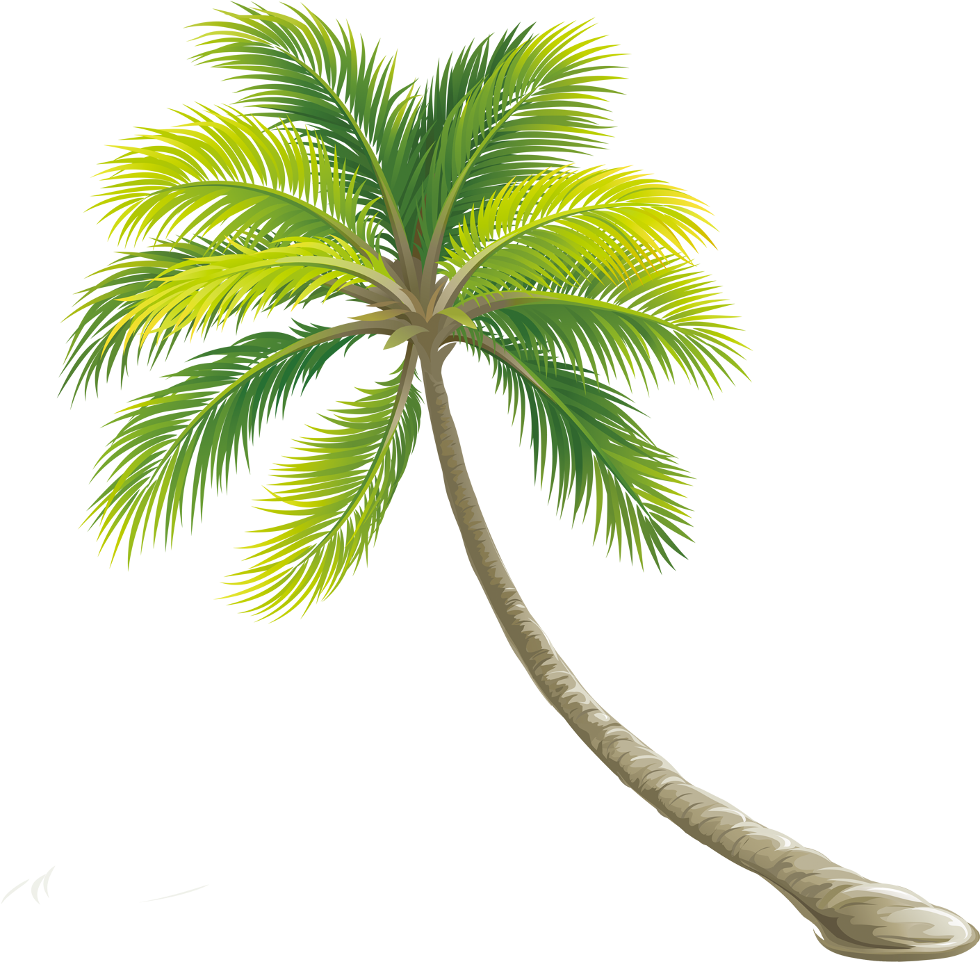 Svg Library Download Tree Color Transprent Png Free - Trees Png Images Hd (1417x1417), Png Download