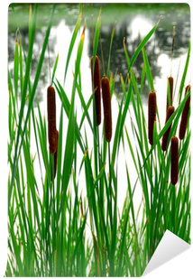 Photography (400x400), Png Download