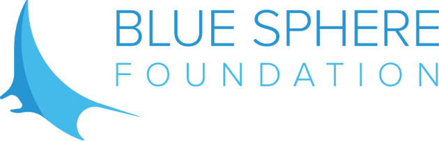 Bluespherefoundation - Blue Sphere Foundation Logo (630x203), Png Download
