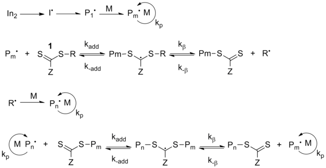 320 × 165 Pixels - Fatty Acyl Coa Synthetase Mechanism (640x330), Png Download