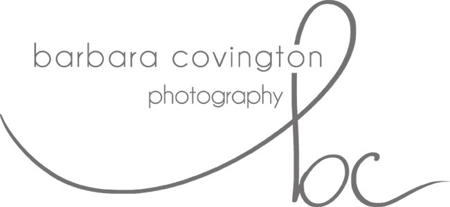 Barbara B Covington Photography Georgia Based Modern - B Logo Photography Transparent (650x299), Png Download