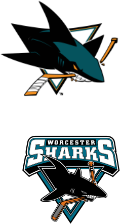 Antti - San Jose Sharks (800x600), Png Download