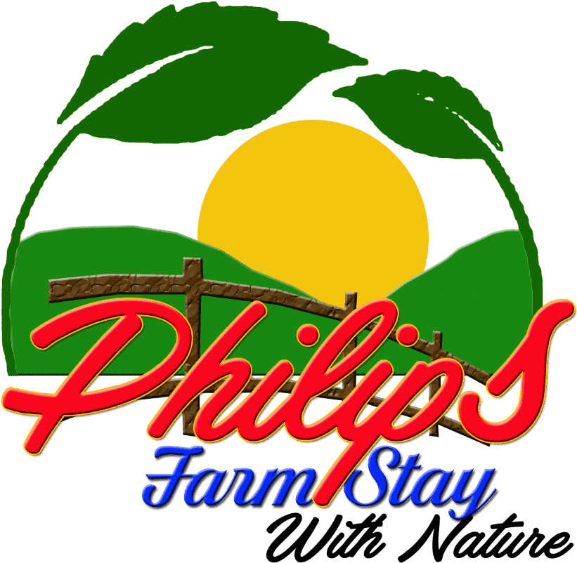 Philips (900x851), Png Download