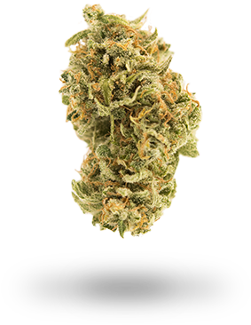 X - Lemon Tart (384x412), Png Download