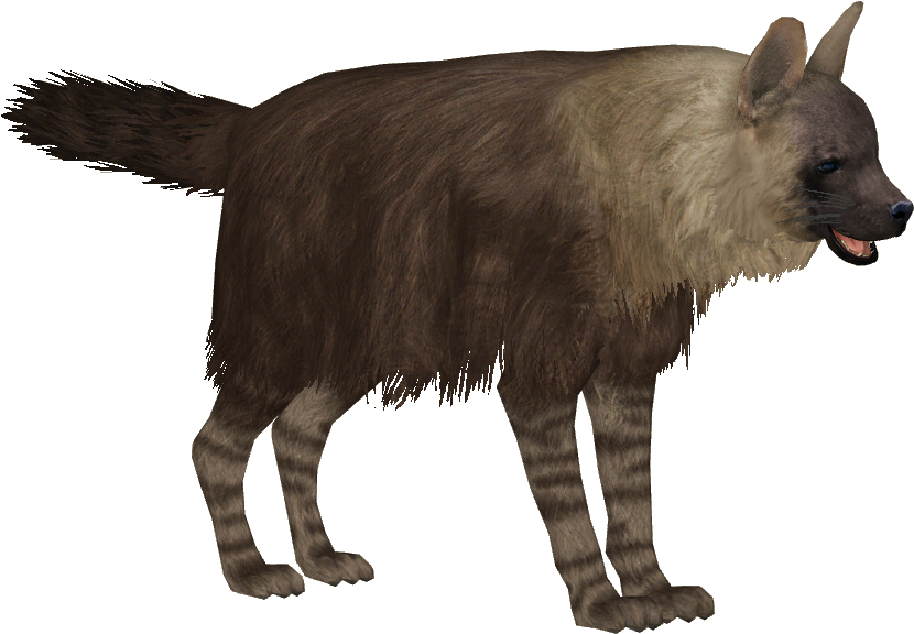 Brown Hyena - Brown Hyena Png (829x829), Png Download