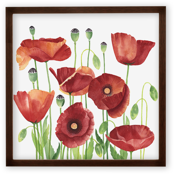 Poppies Art Print (1000x1000), Png Download