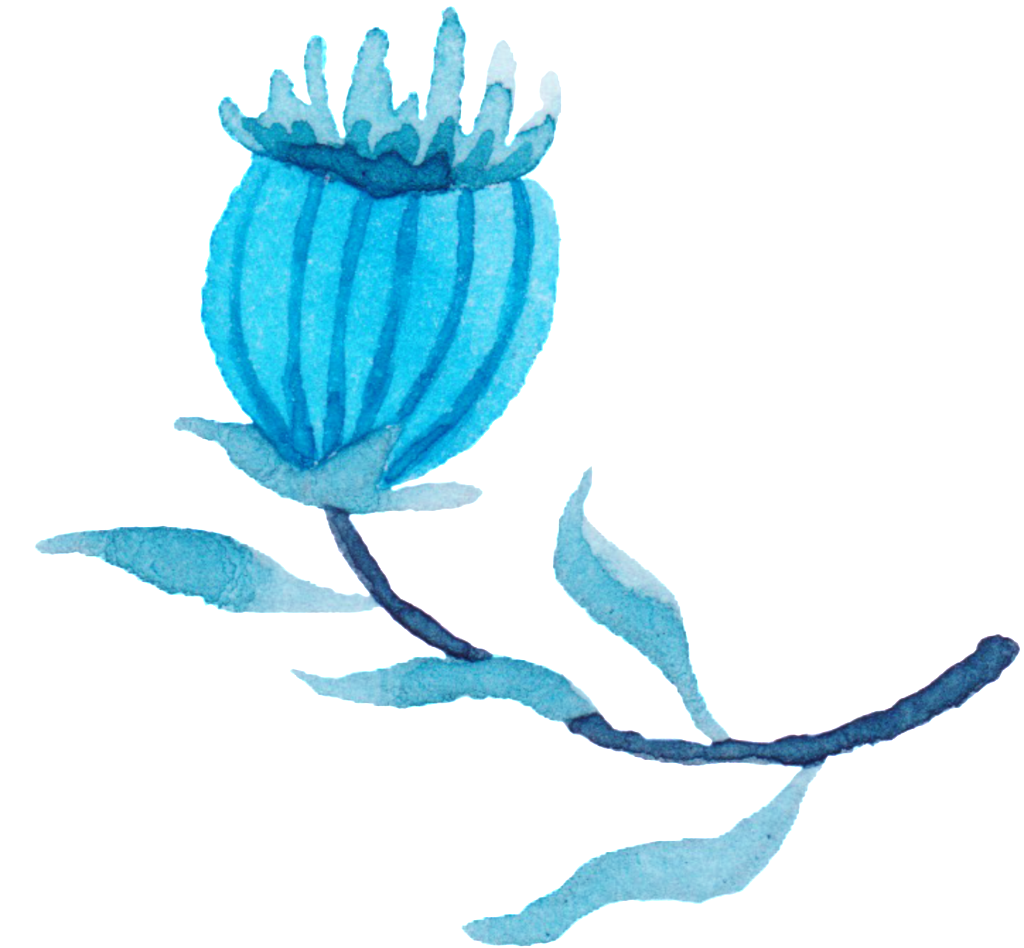 Poppy Bloom Transparent Watercolor Hand Painted Flower - Flower (1024x948), Png Download