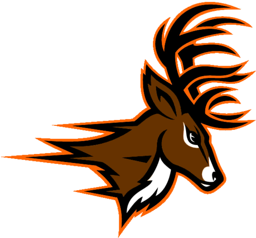 Deerfield Beach High School Logo (600x548), Png Download