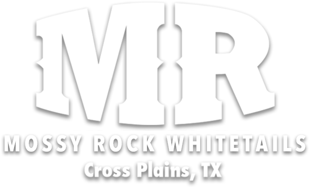 Logo - Poster (661x406), Png Download
