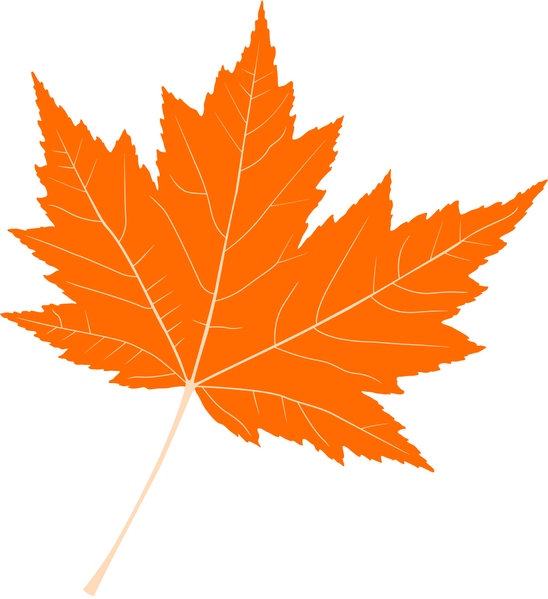 Craft & Bake Sale - Maple Leaf (1080x1180), Png Download