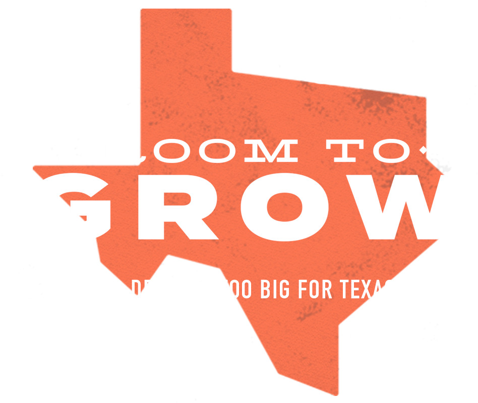 Texas Roadtrip - Texas (1000x800), Png Download