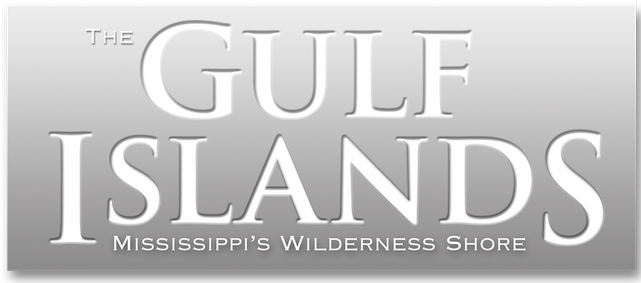 Mississippi Has A National Treasure In Our Gulf Islands - Remember The Titans Cover Page (640x360), Png Download