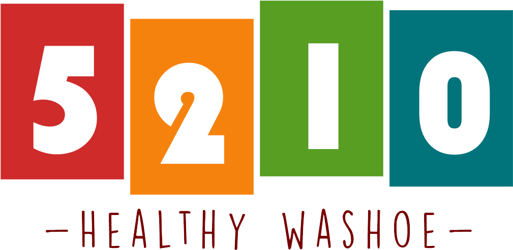 5210 Healthy Washoe Logo Without Icons - Washoe County, Nevada (1050x750), Png Download