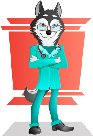 Husky Dog Doctor Vector Character - Husky Doctor (300x450), Png Download