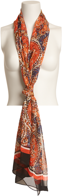 Paisley Border Oblong - Scarf (509x677), Png Download