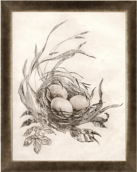 Peep - Paragon Decor Peep By Kh Studio Wall Art - 2905 (550x550), Png Download