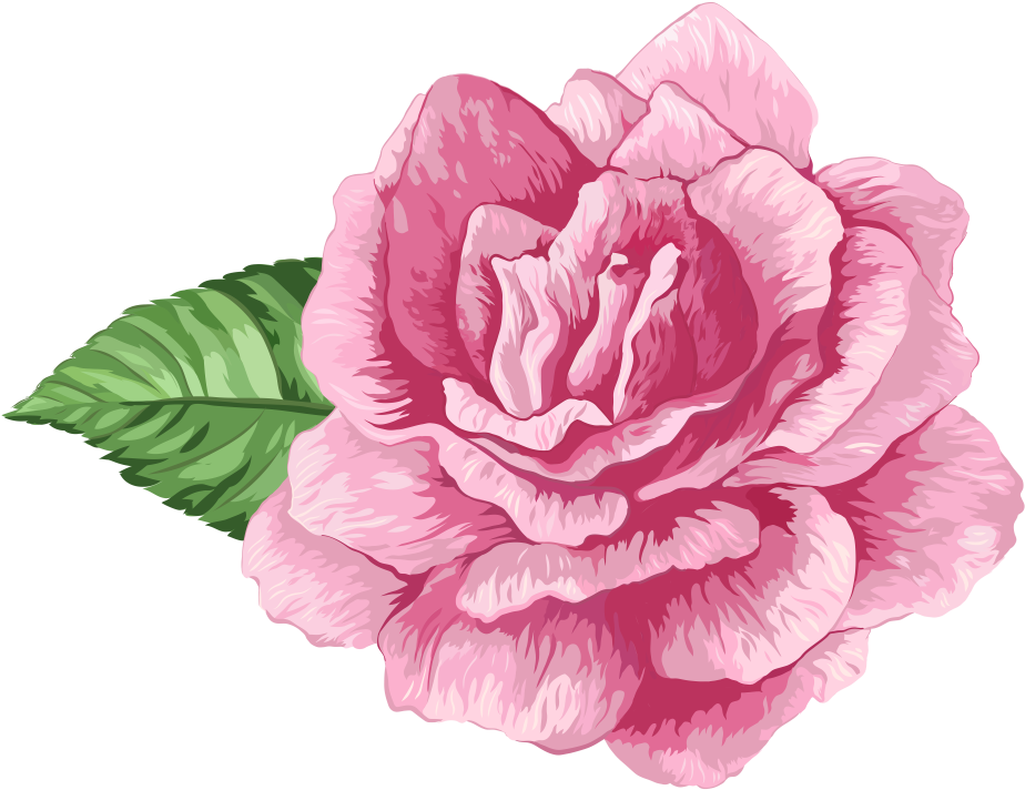 Flores Rosa Cor De Rosa 3 Png - Rosa Cor De Rosa Png (935x719), Png Download