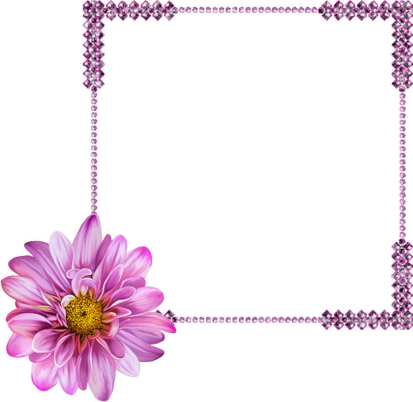 Marcoparafotos Flor Morado Rosa Png - Mona Lisa Flower (1024x1024), Png Download
