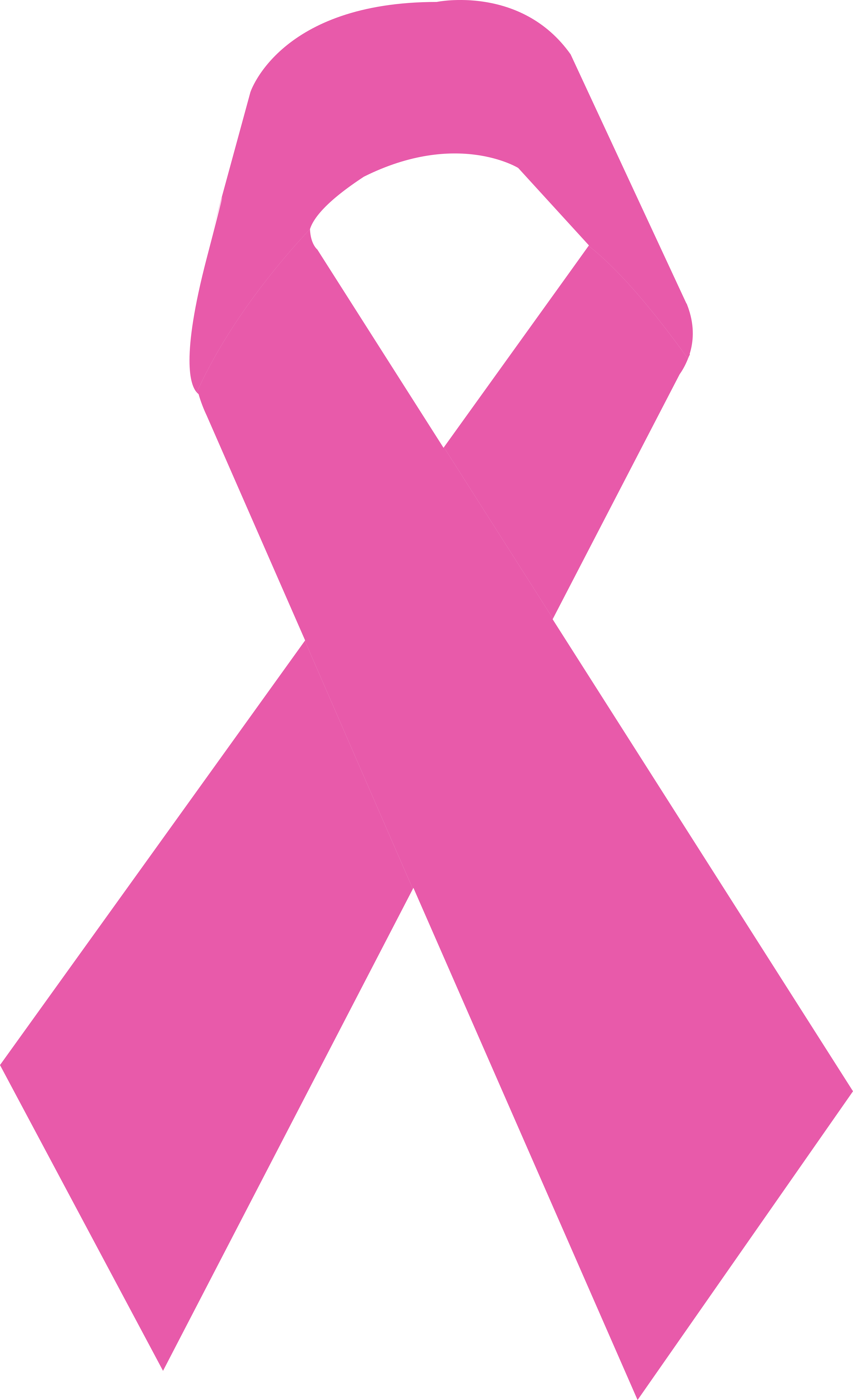 Galeria De Imagens Em Png Do Laço De Fita Rosa - Laço Rosa Cancer De Mama Png (3500x5742), Png Download